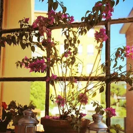 Rosa Malpensa