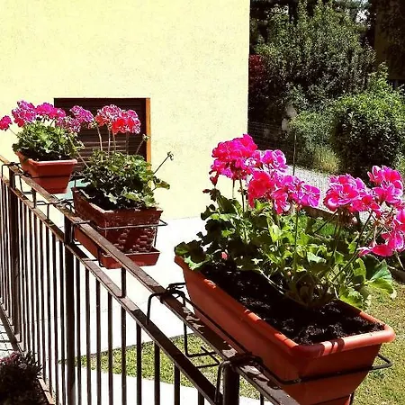 Rosa Malpensa Frühstückspension